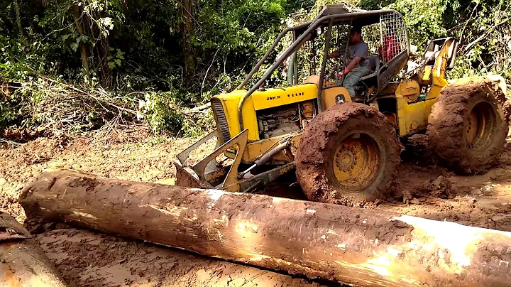 Rosalyn operating an logging in belize