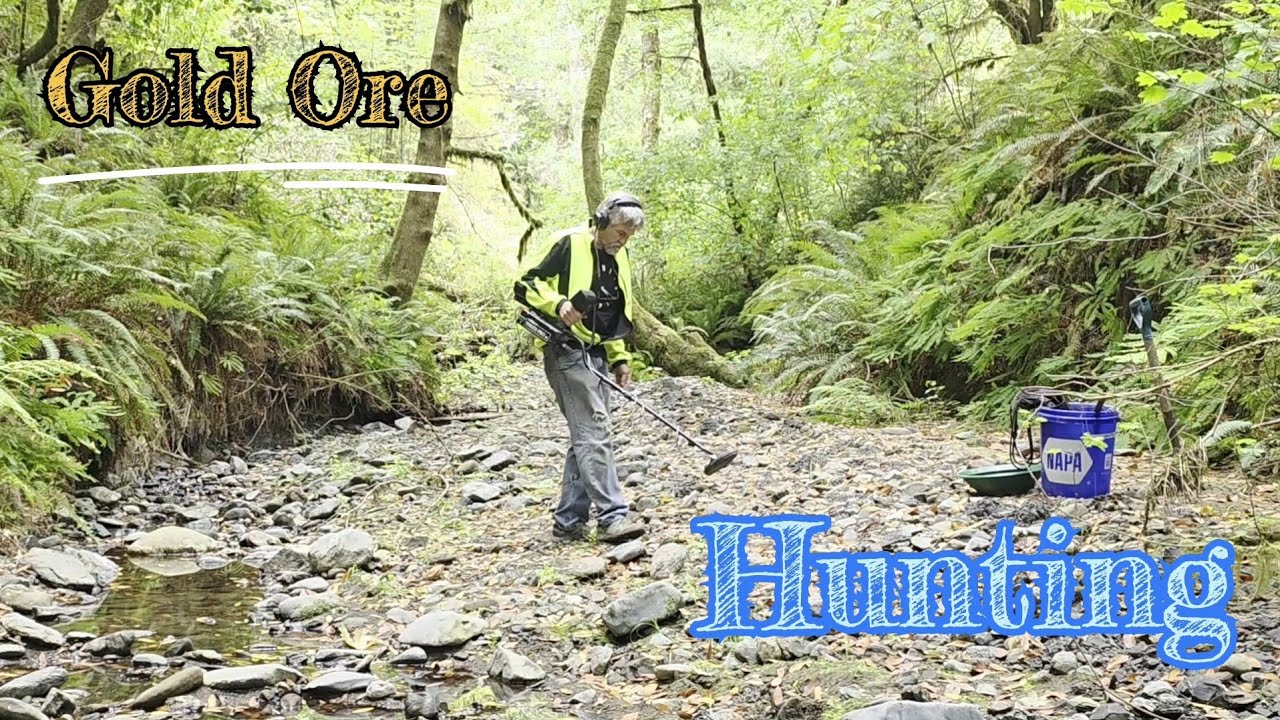 Gold ore hunting in dry creek.