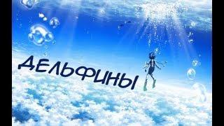 Аниме микс- **Дельфины**