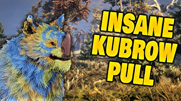 This Kubrow Made Me 25 THOUSAND Platinum In Warframe 