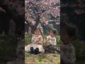【西松屋】トレーナー着用♡ 河津桜の下で仲良く食パンを食べる幼稚園年少さん✨ #kids #るーまめ #カップル