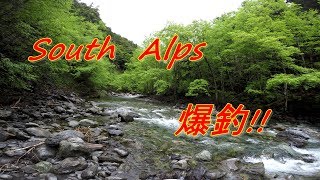 南アルプスの溪で3人でワイワイ新規開拓☆彡 野呂川 Gopro 4k Lure Fishing 南アルプスの溪で3人でワイワイ新規開拓☆彡 野呂川 Gopro 4k Lure Fishing