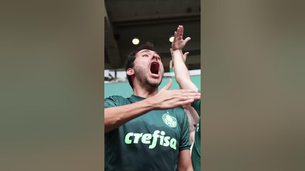 EU SOU PALMEIRAS SIM SENHOR! π·π EU SOU PALMEIRAS SIM SENHOR! π·π