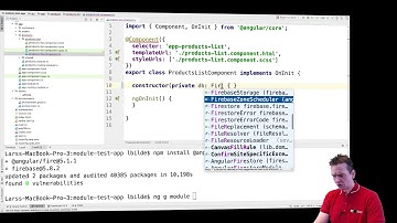 Advanced Web Apps 2019 Angular | S1P13 | Add first Service for AngularFirestore