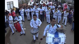 Video thumbnail of "Banda Tierra Mojada Pop Abejorros, Buey DE La Barranca, Adolorido COMPARSA ARROLLADORA"