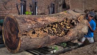 Massive Trembesi Wood Sawmill ⚠️ The First Cut Almost Went Wrong 😨