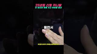 2025년식 카니발 무조건 넣어야하는 2가지 옵션