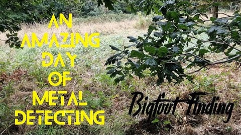 An amazing day metal detecting in Devon UK using the Quest Q30+ and Xpointer - great Oxen finds