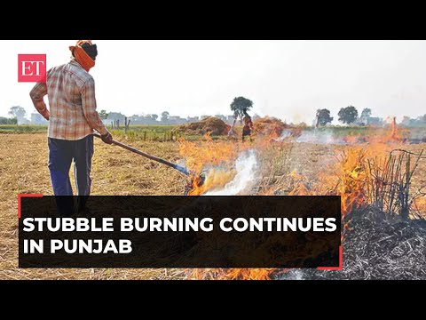 Air Pollution: Stubble burning continues in Punjab unabated as Delhi chokes Episode cover