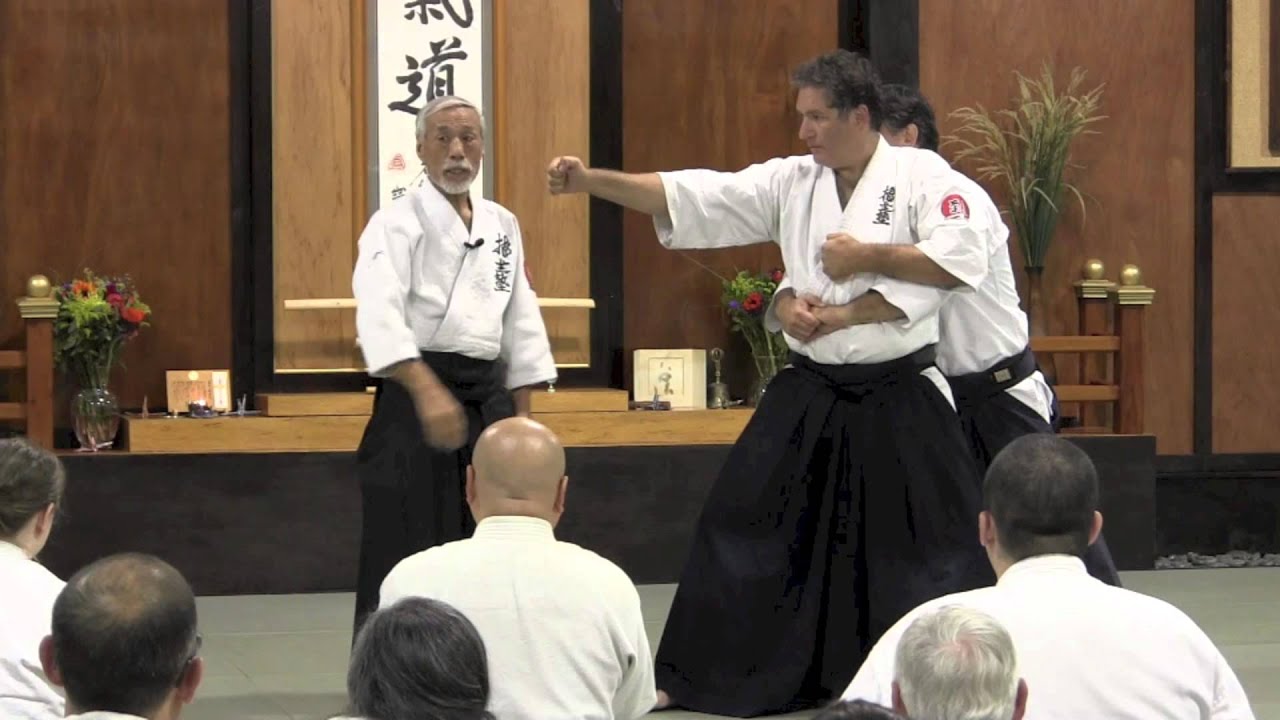 Saotome Shihan Seminar Preview 2015