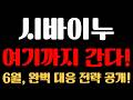 [시바이누 코인 분석] ※여기까지 갑니다※ 6월, 완벽 대응 전략 공개!