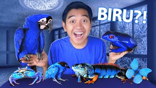 BELI SEMUA HEWAN WARNA BIRU DI PASAR HEWAN TERBESAR BANDUNG!