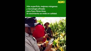 Agro TV: Más superficie, tecnología y rinde: el salto productivo de NK en girasol y maíz