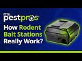 How Rodent Bait Stations Really Work | My Pest Pros (Northern VA Rodent Control)