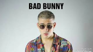 bad bunny CRIPPY CUSH