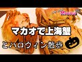 マカオ街歩き in ハロウィン🎃上海蟹と夜市/澳門十六浦大閘蟹自助晚餐/萬聖節 Halloween Macau 2021