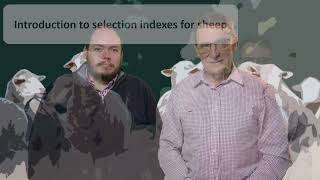 Introduction to Selection Indexes