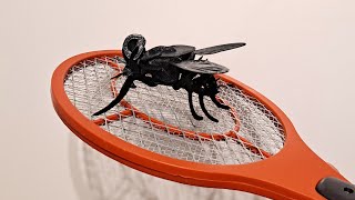 3D printed 3D kit Fly FAST FORWARD