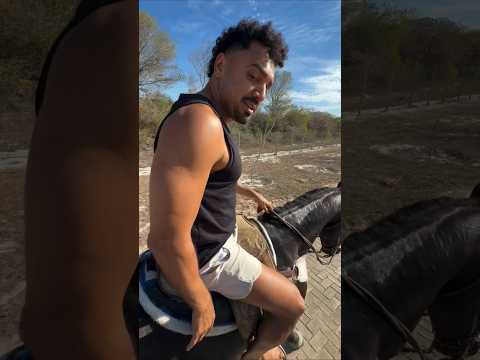 O Circo e os cavalos é do Tirullipa ou do Wesley Safadão?