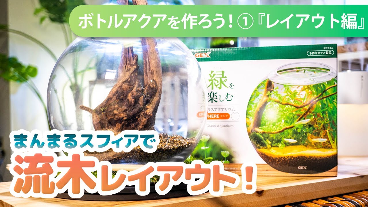 アクアリウム　ボトル&流木セット アクアリウム ボトル&流木セット