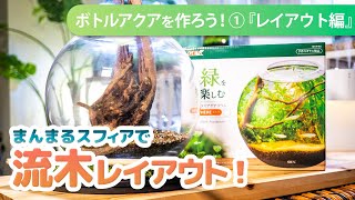 キムタクも挑戦した球状ボトルでボトルアクアリウムを作ろう！①GEXのまんまる容器スフィアで流木レイアウト #アクアリウム #ボトルアクア