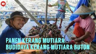 Panen Mutiara Palabusa- Buton Sulawesi Tenggara