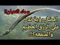 تفسير حلم رؤيه سمك الثعبان في المنام للعزباء للمراه والرجل لابن سيرين ثعبان البحر المجمد في الثلاجه