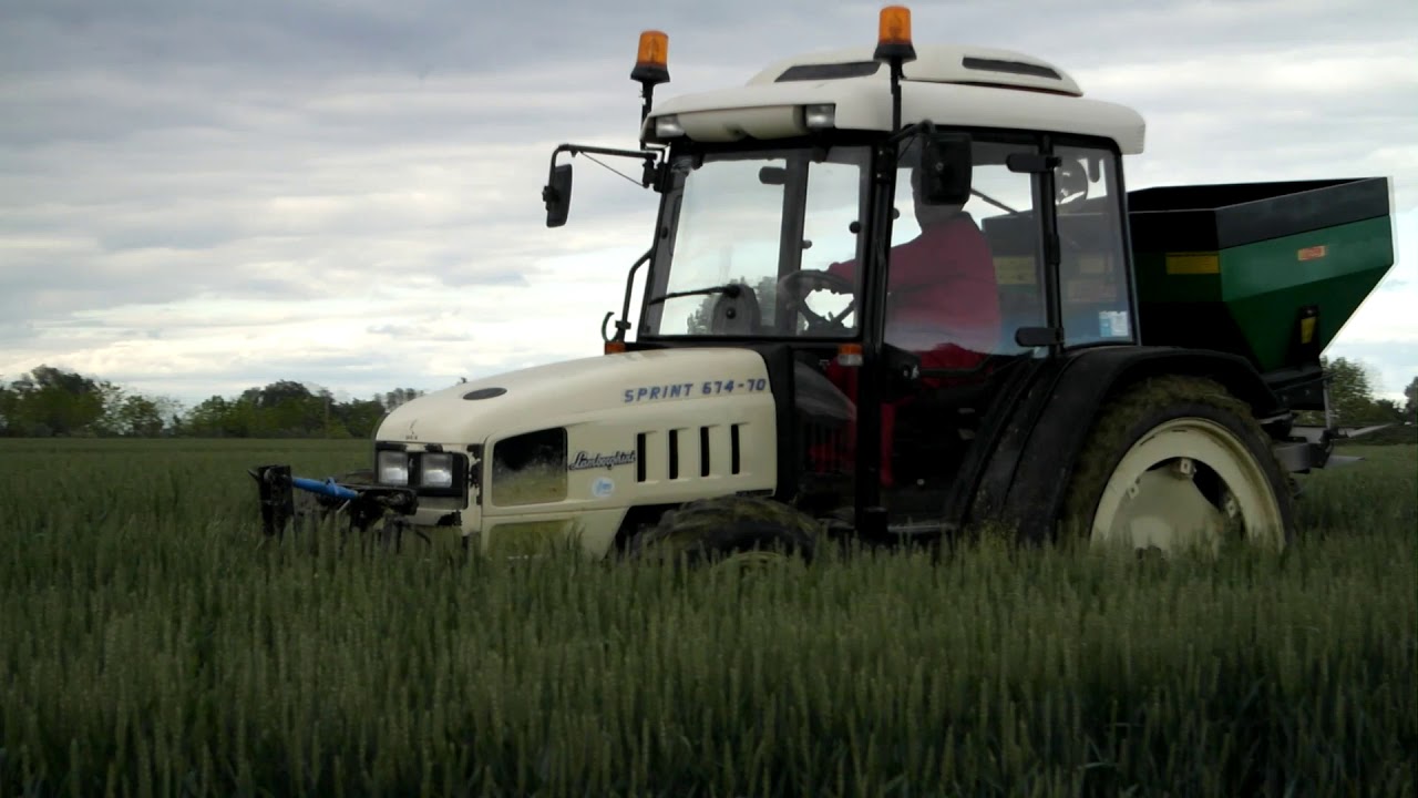 CONCIMAZIONE FRUMENTO - Eurospand David Fruit