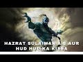 Hazrat sulaiman as or hud hud ka qissa  hazrat sulaiman a s ka qissa  waqia hazrat sulaiman 