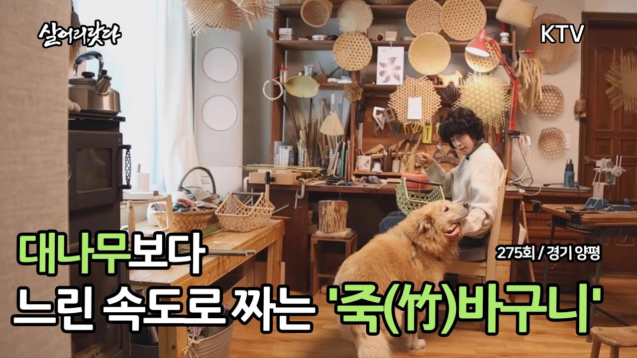 (경기 양평/275회) 죽순은 하루 80cm 자란다? 대나무보다 느린 속도로 짜는 '죽(竹)바구니' koreatv, handicraft, basket, bamboo