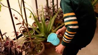 SHIVAAY WATERING THE PLATS AT HOME BALCONY #planting #shivaay #plant #shivaaysapra DSC 0210