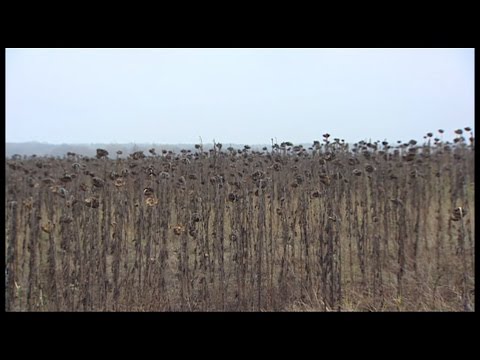 Wołyń 2013 - dziennikarska wyprawa: Pamięć. Pojednanie. Przyszłość.