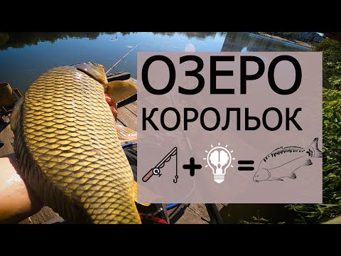 КАРПФІШИНГ в КИЄВІ. ОЗЕРО КОРОЛЬОК. РИБАЛКА НА ФЛЕТ.