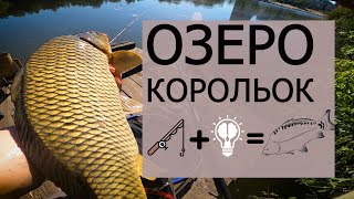 КАРПФІШИНГ в КИЄВІ. ОЗЕРО КОРОЛЬОК. РИБАЛКА НА ФЛЕТ.