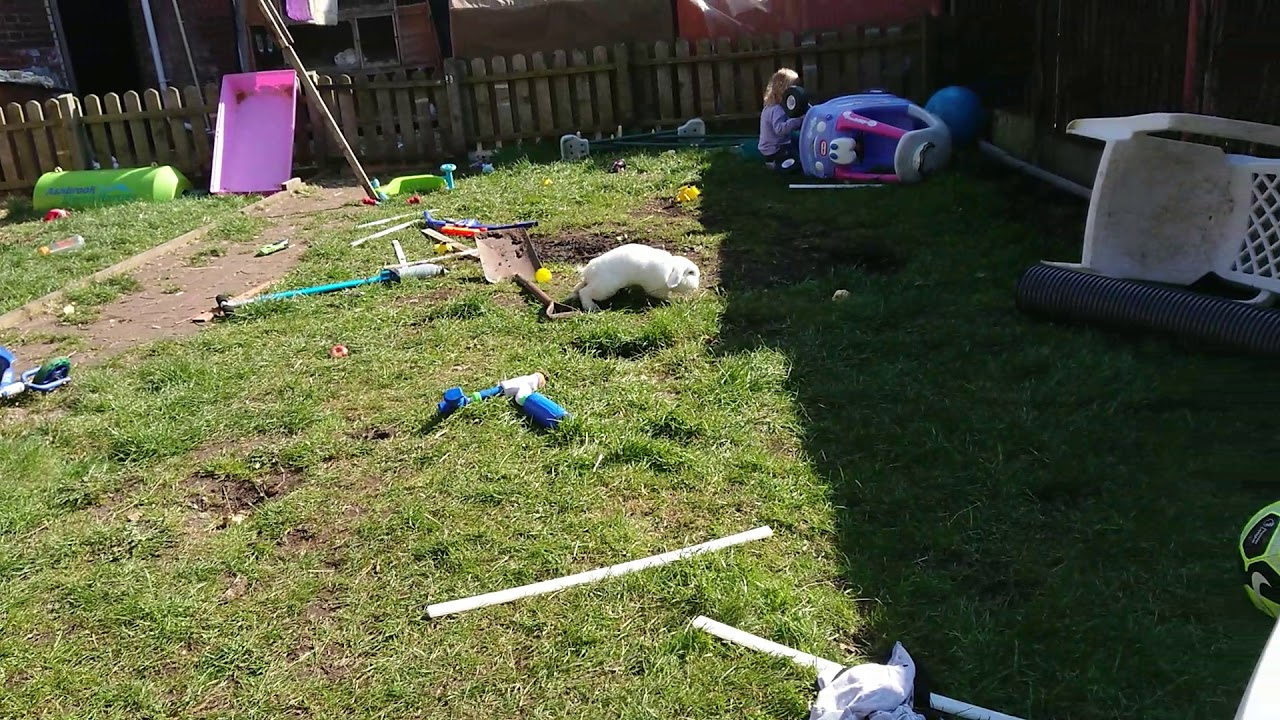 Disabled Bunny Hope garden time