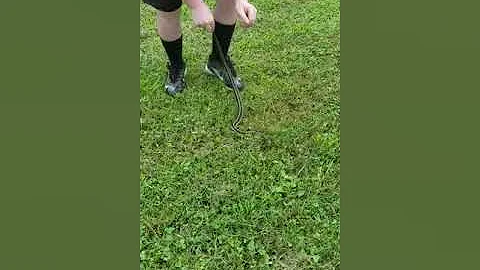 Live action