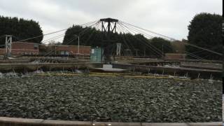 Biological water treatment Severn Trent