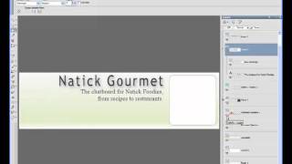 Designing Great Looking Alpha Five Apps (2009)