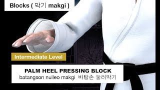 Taekwondo - Palm Heel Pressing Block ( 바탕손 눌러막기 batangson nulleo makgi )