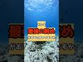 水槽見て健康