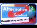 Die AfD erklärt | Bundestagswahl 2017