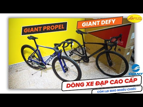 Dân chơi xe đạp thế nào mới mua xe đạp Giant Propel và Gaint Defy @tamduccycles