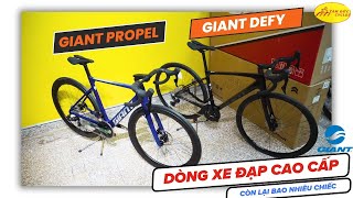 Dân chơi xe đạp thế nào mới mua xe đạp Giant Propel và Gaint Defy @tamduccycles