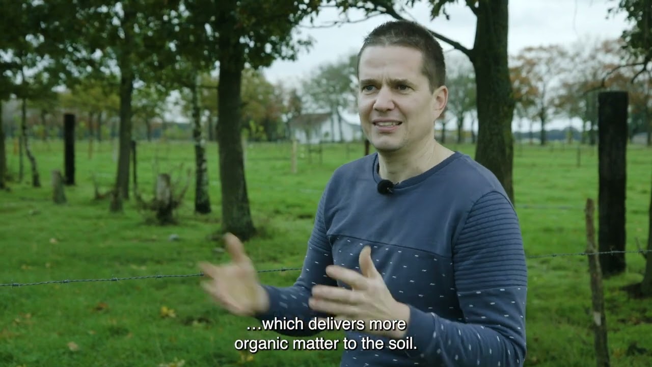 Meet Jan and Hanne Cremers, livestock farmers who raise cows in Westerhoven, Netherlands