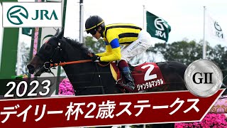 2023年 デイリー杯2歳ステークス（GⅡ） | ジャンタルマンタル | JRA公式