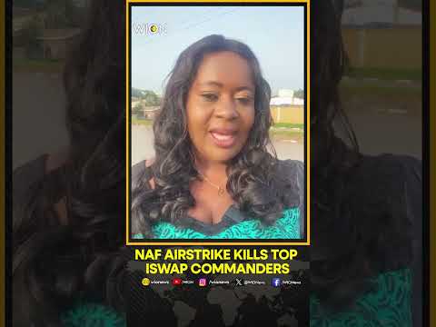 NAF Airstrike Kills Top ISWAP Commanders in Lake Chad Region | WION Shorts