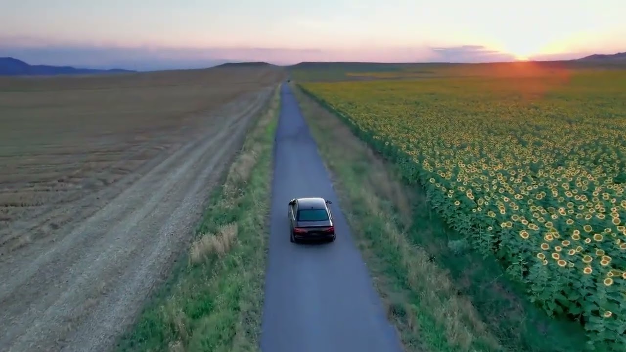 An awe-inspiring aerial view of an endless sea of sunflowers, captured gracefully by a soaring drone