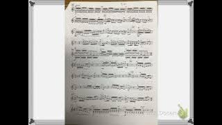 Styres Rally violin 2 page 2