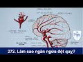 #272. Làm sao ngăn ngừa đột quỵ? Đột quỵ do vỡ túi phình - Stroke and brain aneurysm