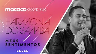Harmonia do Samba - Meus Sentimentos | Macaco Sessions (Ao Vivo)